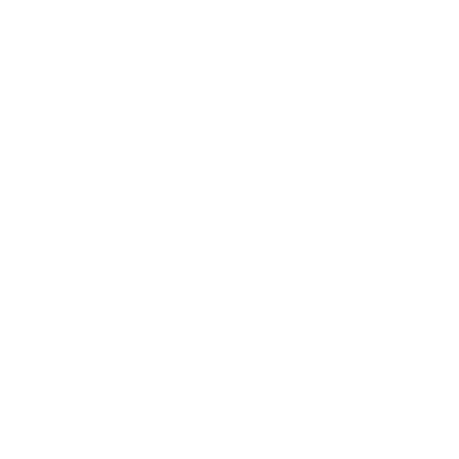 Social Media Ads