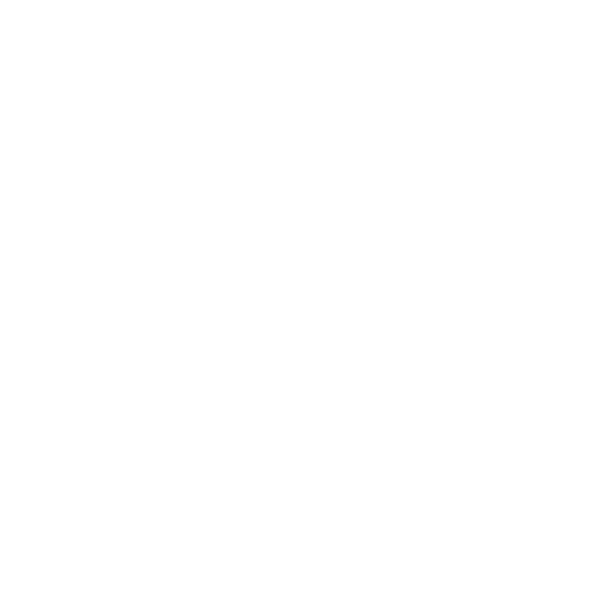 SparkConnect