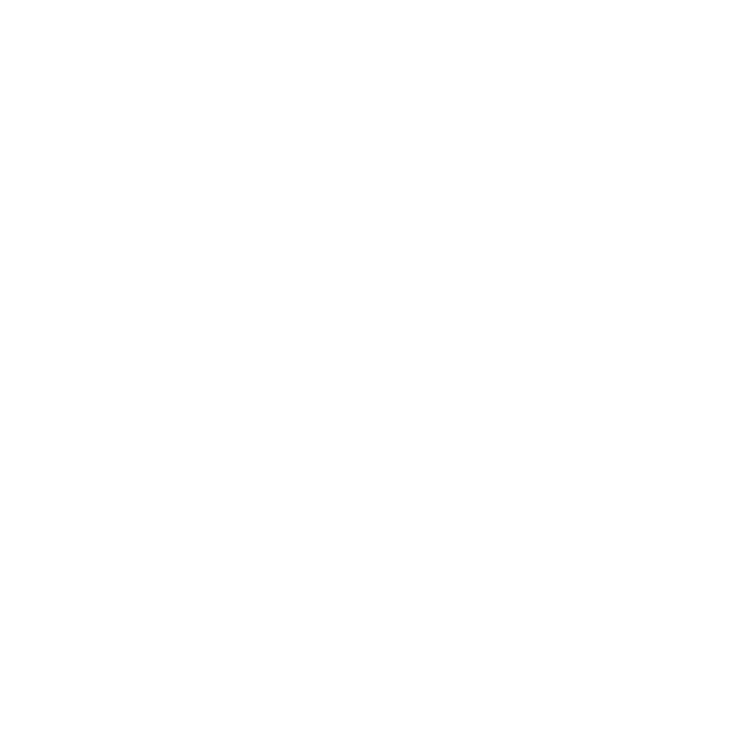 Success Spark